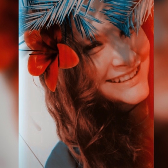 hollyh23528